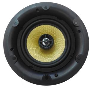 Hi-Fi Ceiling Speaker